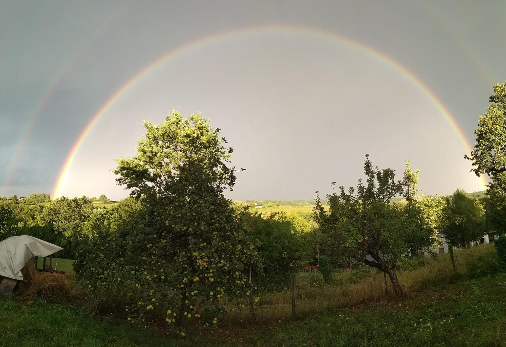 Biohof Koller Villa Weichselbaum Bagian luar foto