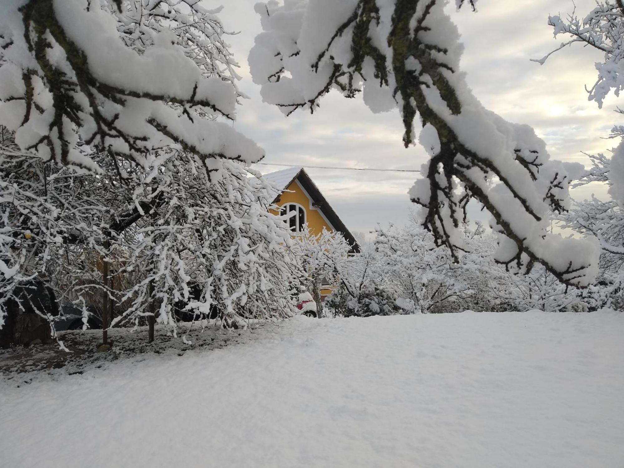 Biohof Koller Villa Weichselbaum Bagian luar foto