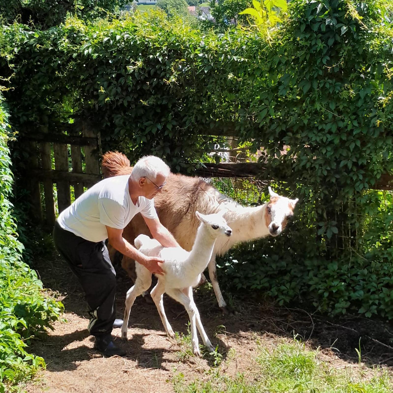 Biohof Koller Villa Weichselbaum Bagian luar foto