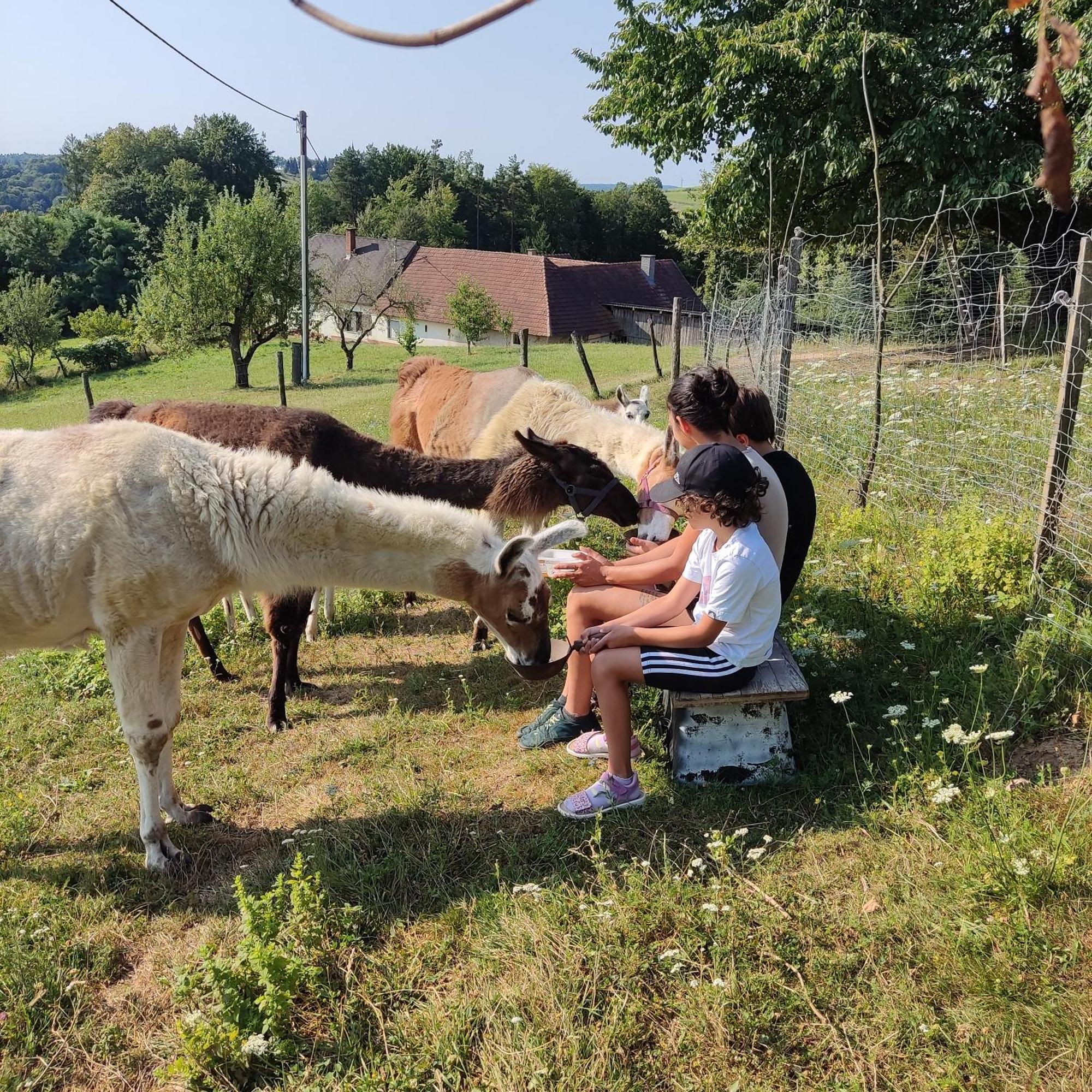 Biohof Koller Villa Weichselbaum Bagian luar foto